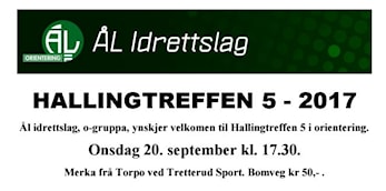Hallingtreffen 5 på Syningen